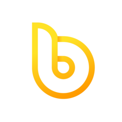 bDollar logo