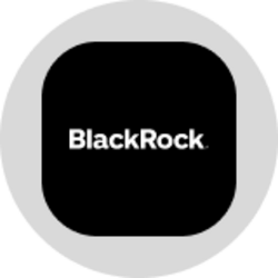 Blackrock, Inc. (Ondo Tokenized Stock) logo
