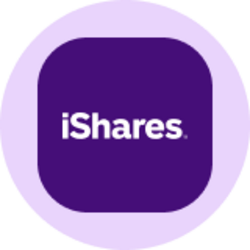 iShares Core MSCI EAFE ETF (Ondo Tokenized ETF) logo