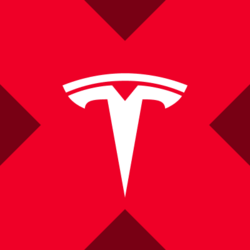 Tesla xStock logo