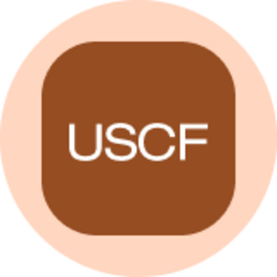 United States Oil Fund (Ondo Tokenized) logo