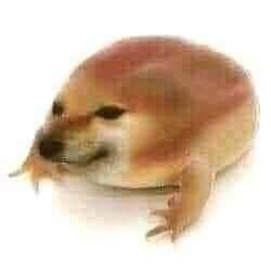 what the dog doing? logo