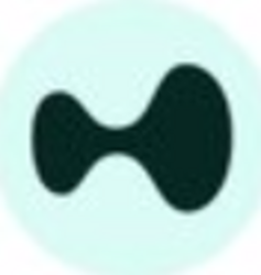 Wormhole Bridged HYPE logo