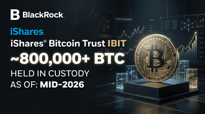 BlackRock corporate wordmark logo with Bitcoin holdings chart overlay