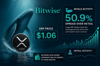 XRP price chart showing whale accumulation divergence from retail traders near $1 support